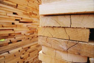 Softwood